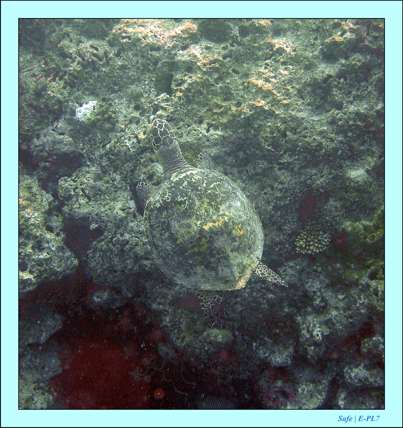 2023 - 07 - Sandies Bathala - 215